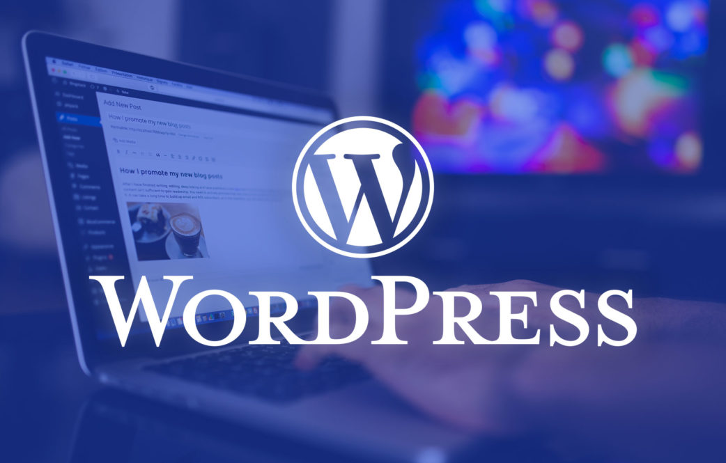 How to choose a WordPress Developer